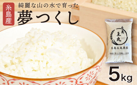 糸島産 夢つくし 5kg　糸島市 / 糸島王丸農園 ( 谷口汰一 )【いとしまごころ】[AAZ001]
