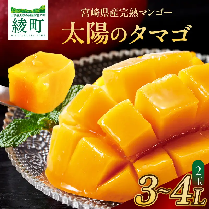 【先行予約/数量限定】完熟マンゴー『太陽のタマゴ』２玉（約１kg）/ 太陽のタマゴ 濃厚 甘い マンゴー 果物 宮崎県 綾町【JA綾町】_A0114-1001