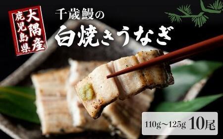 鹿児島県大隅産　千歳鰻の 白焼 鰻　10尾 ｜うなぎ うなぎ