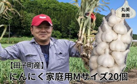 丸美農園 田子産家庭用にんにく（M）20個