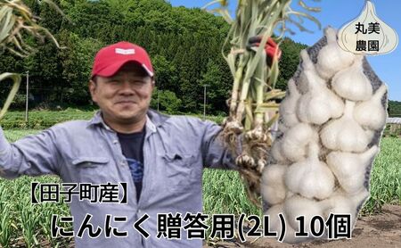 丸美農園 田子産贈答用にんにく（2L）10個