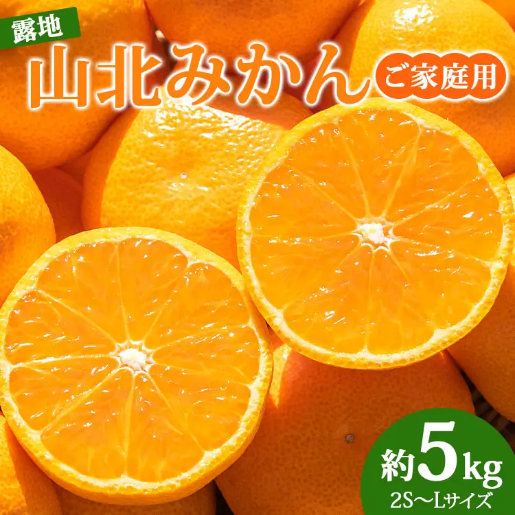 【訳あり】家庭用山北みかん 約5kg ミカン蜜柑 ku-0054