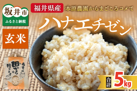 【先行予約】【令和8年産・新米】 ハナエチゼン5kg × 1袋 ～本原農園からまごころコメて～（玄米）【2026年9月上旬以降順次発送予定】 [A-8984_02]
