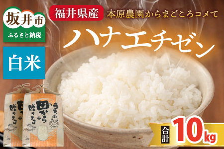 【先行予約】【令和8年産・新米】 ハナエチゼン10kg(5kg×2袋) ～本原農園からまごころコメて～（白米）【2026年9月上旬以降順次発送予定】 [B-8946_01] 
