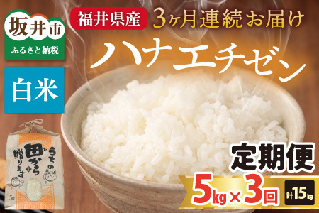 【先行予約】【令和8年産・新米】定期便 ≪3ヶ月連続お届け≫ ハナエチゼン5kg×3回 計15kg ～本原農園からまごころコメて～（白米）【2026年9月上旬以降順次発送予定】 [C-8965_01]