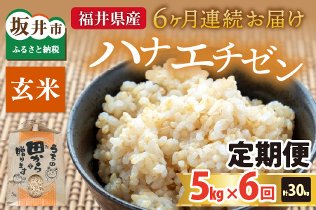 【先行予約】【令和8年産・新米】定期便 ≪6ヶ月連続お届け≫ ハナエチゼン5kg×6回 計30kg ～本原農園からまごころコメて～（玄米）【2026年9月上旬以降順次発送予定】 [F-8910_02]