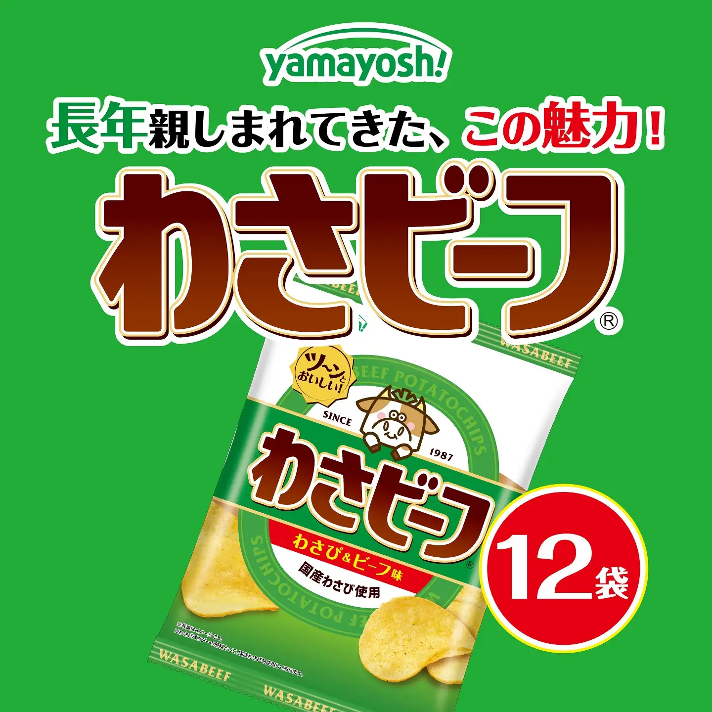 お菓子 わさビーフ(50g×12袋)オリジナルグッズセット ポテトチップス 山芳製菓