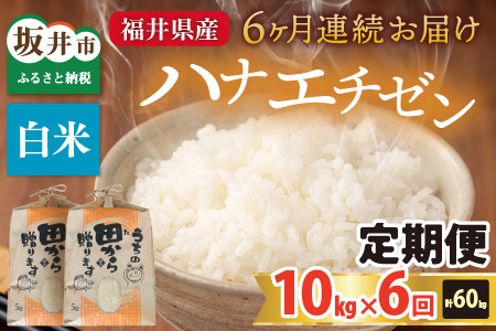 【先行予約】【令和8年産・新米】定期便 ≪6ヶ月連続お届け≫ ハナエチゼン10kg×6回 計60kg ～本原農園からまごころコメて～（白米）【2026年9月上旬以降順次発送予定】 [K-8910_01]