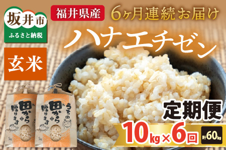【先行予約】【令和8年産・新米】定期便 ≪6ヶ月連続お届け≫ ハナエチゼン10kg×6回 計60kg ～本原農園からまごころコメて～（玄米）【2026年9月上旬以降順次発送予定】 [K-8910_02]