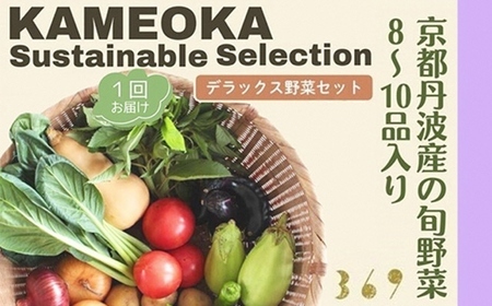 丹波産の旬野菜セットDX 有機 野菜