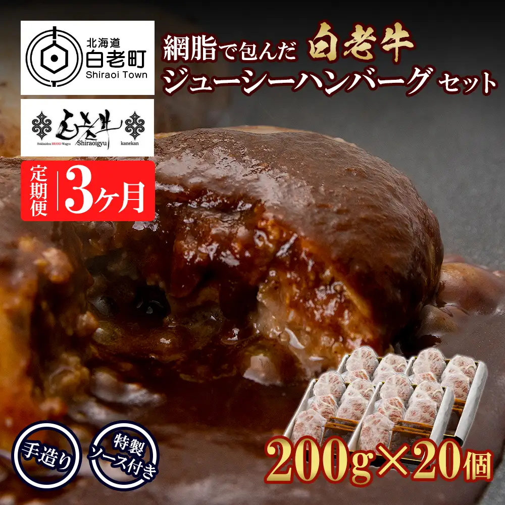 定期便3カ月 お楽しみ 白老牛 ジューシー ハンバーグ セット 20個 BY103
