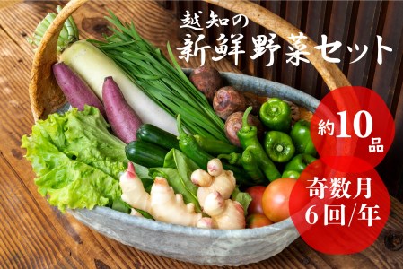 越知産市の季節の野菜セット(年6回発送) 奇数月