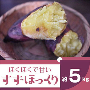 【さつまいも様】専用・青360ｇ×2袋≪リクエスト特割特価≫ d0a8cc430c6c1684ff0df7891f6ba7
