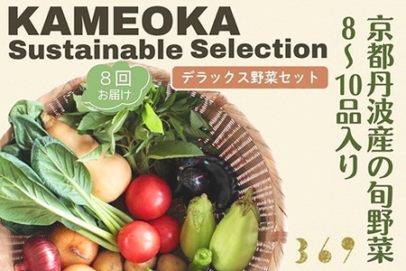 【8回定期便】丹波産の旬野菜セットDX 有機 野菜