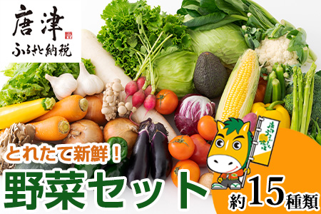 野菜セット 新鮮とれたて旬の野菜 季節の野菜 詰合せ サラダ