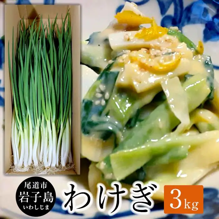わけぎ　3キロ