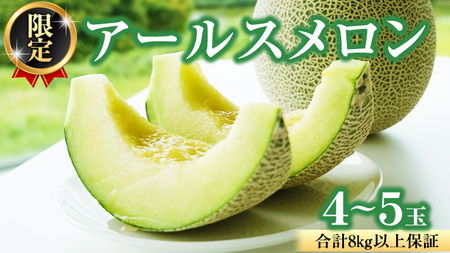 【2026年8月下旬発送開始】 季節 限定 ！甘さ満点 アールスメロン 大箱 （ 4〜5玉 ） 果物 フルーツ 農家直送 産直 青肉メロン 特産品 マスクメロン メロン くだもの 茨城 [BC046sa]