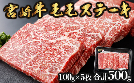 宮崎牛 モモステーキ 計500ｇ（100g×5）_K030-004