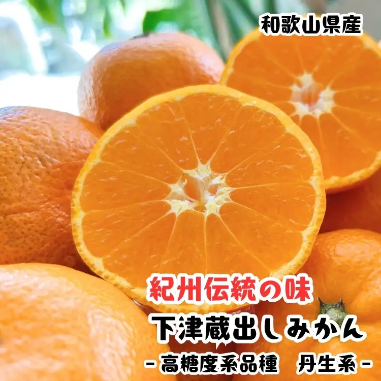 ［紀州伝統の味］下津蔵出し みかん（高糖系品種 丹生系） 2kg［S～L混合サイズ］［先行予約］