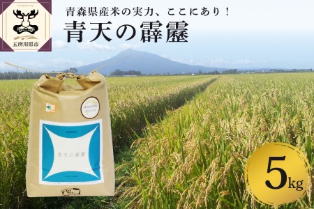 青天の霹靂 【令和7年産米】米 5kg 特別栽培米 青森県産 【KonRiceFarmのお米 晴天の霹靂 青森県五所川原市 】