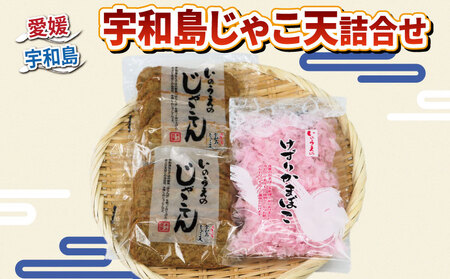 練物 手押し じゃこ天 10枚 けずり蒲鉾 1袋 詰合せ 井上蒲鉾本舗 練物 おつまみ C010-003001