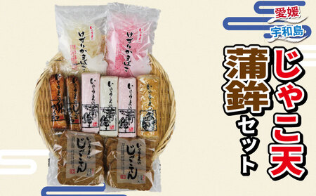 練り物 詰合せ 井上蒲鉾本舗 練り物 C024-003002