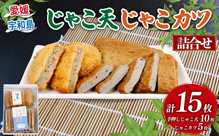 じゃこ天 じゃこカツ 練り物 詰合せ 大山かまぼこ店 練り物 C010-007001