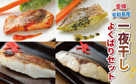 干物 セット 一夜干し よくばりセット こもねっと 干物 D025-008005
