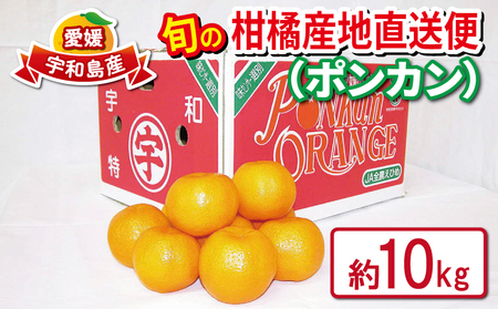 ポンカン 秀品 みかん 10kg JA みかん  B020-009003