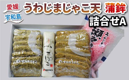 練物 じゃこ天 天ぷら 蒲鉾 詰め合わせ A 中村かまぼこ店 練物 C012-013001