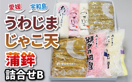 じゃこ天 蒲鉾 詰め合わせ Bセット 中村かまぼこ店 蒲鉾 C018-013002