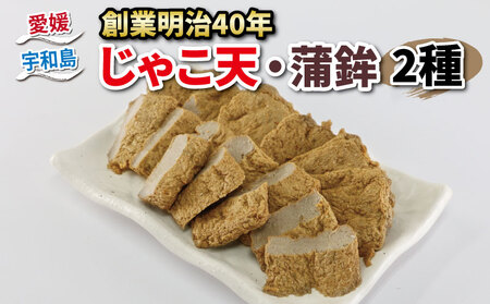 じゃこ天 蒲鉾 2種 セット 野中かまぼこ店 蒲鉾 C010-014001
