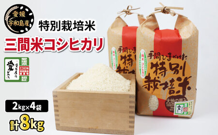 【精米】 令和7年度産 コシヒカリ 8kg 農業組合法人はざめ 精米 G025-015001
