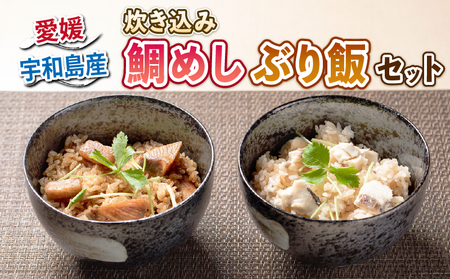 炊き込み 鯛めし ぶり飯 セット 詰め合わせ 秀長水産 ぶり D015-016002