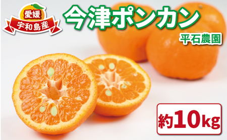 【みかん】 ポンカン10kg 家庭用 平石農園 みかんB011-017003