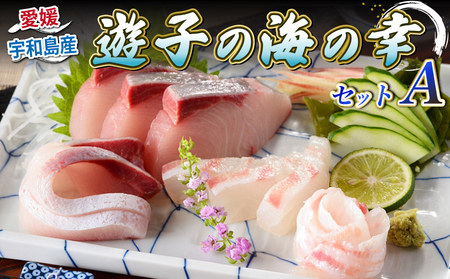 【刺身】海の幸セットA愛媛県漁業協同組合遊子支所刺身|D018-022001