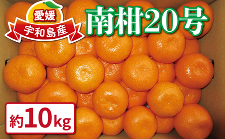 【愛媛みかん】 南柑20号 10kg ﾜｰﾙﾄﾞﾌｧｰﾏｰｽﾞ みかん B015-024002