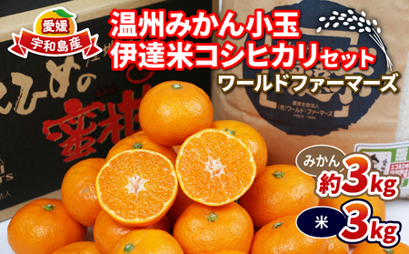 【米】温州みかん小玉約3kg伊達米コシヒカリ3kgWF│B012-024003