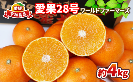愛果28号 4kg ワールドファーマーズ B015-024004