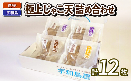 じゃこ天 セット 極上 じゃこ天 詰め合わせ 宇和島屋 C010-026001