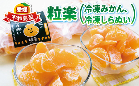 冷凍 みかん 500g×2袋 しらぬい 粒楽 みかん 南四国ファーム J012-035009