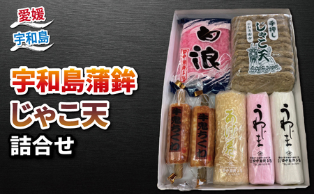 じゃこ天 蒲鉾 詰め合わせ 田中 蒲鉾 本店 C024-045010