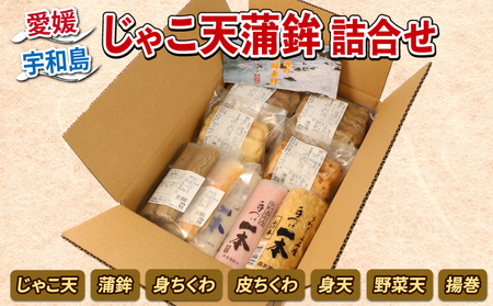 じゃこ天 蒲鉾 詰合せ 7種 森本 蒲鉾 店 C020-046001