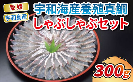 真鯛 鯛しゃぶ セット エビス D020-047002