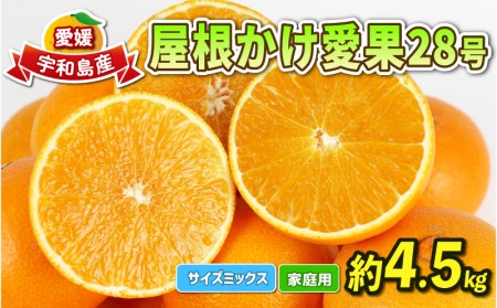 【みかん】屋根かけ愛果28号4.5kg陽だまりミカンみかん柑橘│B018-050004