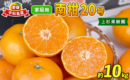  【 みかん 】みかん南柑20号10kg家庭用上杉果樹園|B012-056002