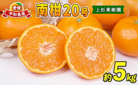 温州みかん 南柑20号 5kg MまたはL サイズ 上杉果樹園 温州みかん B010-056004
