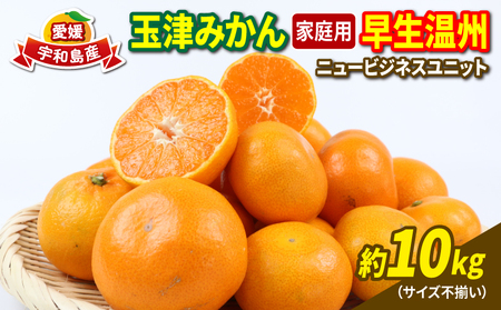 愛媛 みかん 早生 温州 10kg 家庭用 サイズ不揃い NBU みかん B015