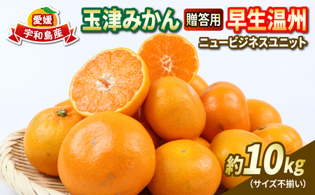 贈答用 優品 愛媛 みかん 早生 温州 10kg サイズ不揃い NBU B018-058004
