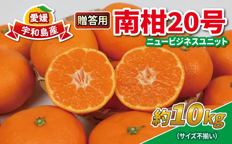 みかん 10kg 贈答用 南柑20号 サイズ不揃い みかん NBU B018-058005